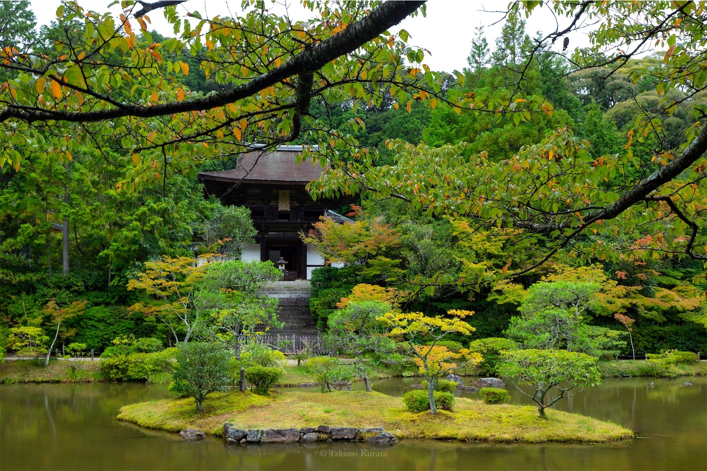 f:id:Shotetsuan:20191114230056j:plain f:id:Shotetsuan:20191114230056j:plain