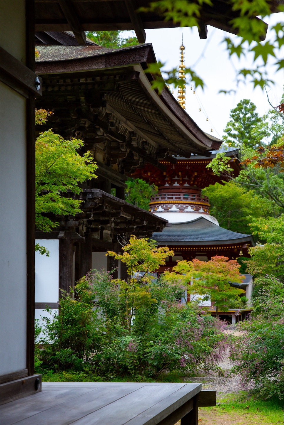 f:id:Shotetsuan:20191114230101j:plain f:id:Shotetsuan:20191114230101j:plain