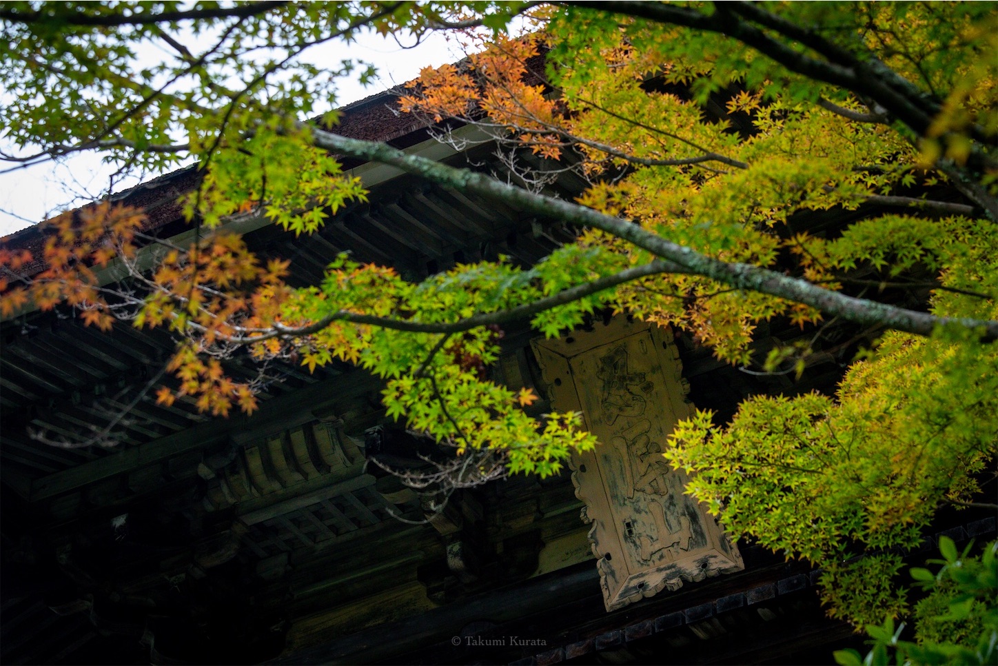 f:id:Shotetsuan:20191114230107j:plain f:id:Shotetsuan:20191114230107j:plain