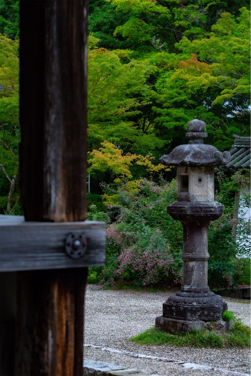 f:id:Shotetsuan:20191114230137j:plain f:id:Shotetsuan:20191114230137j:plain