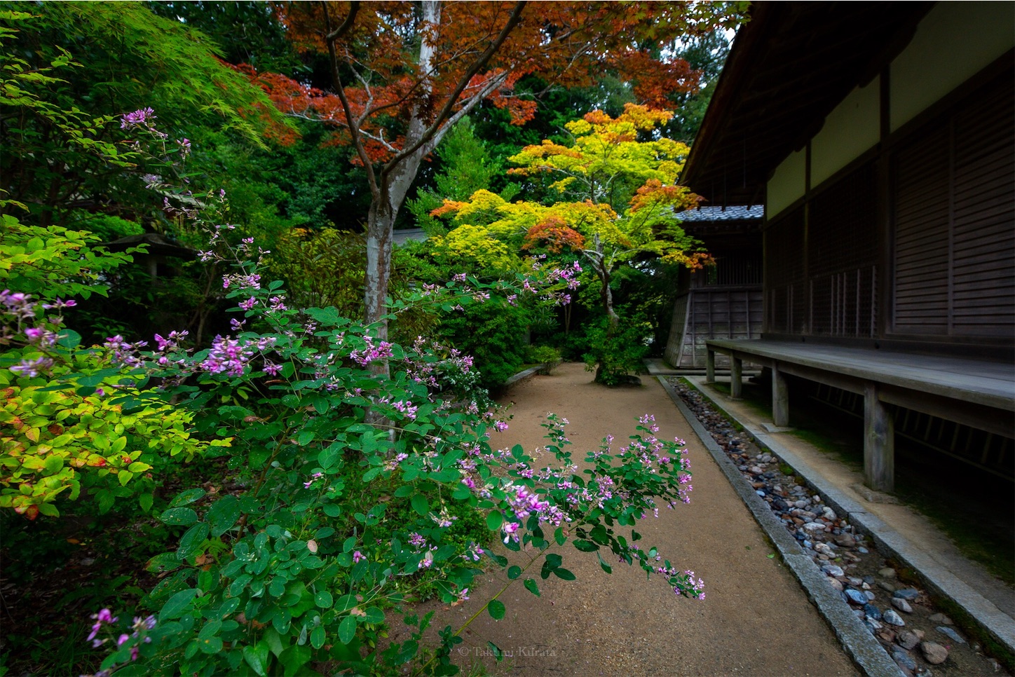 f:id:Shotetsuan:20191114230156j:plain f:id:Shotetsuan:20191114230156j:plain