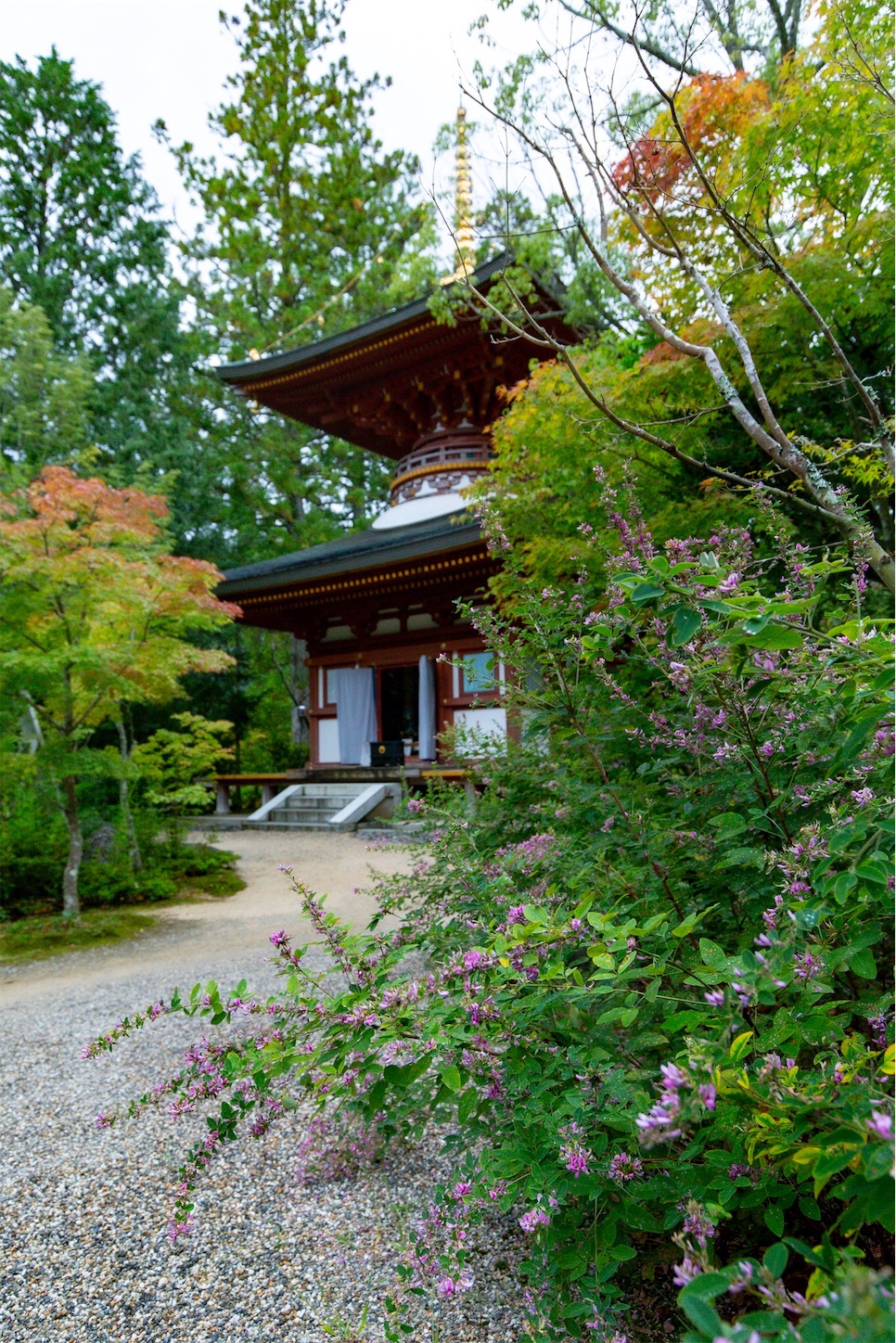 f:id:Shotetsuan:20191114230200j:plain f:id:Shotetsuan:20191114230200j:plain