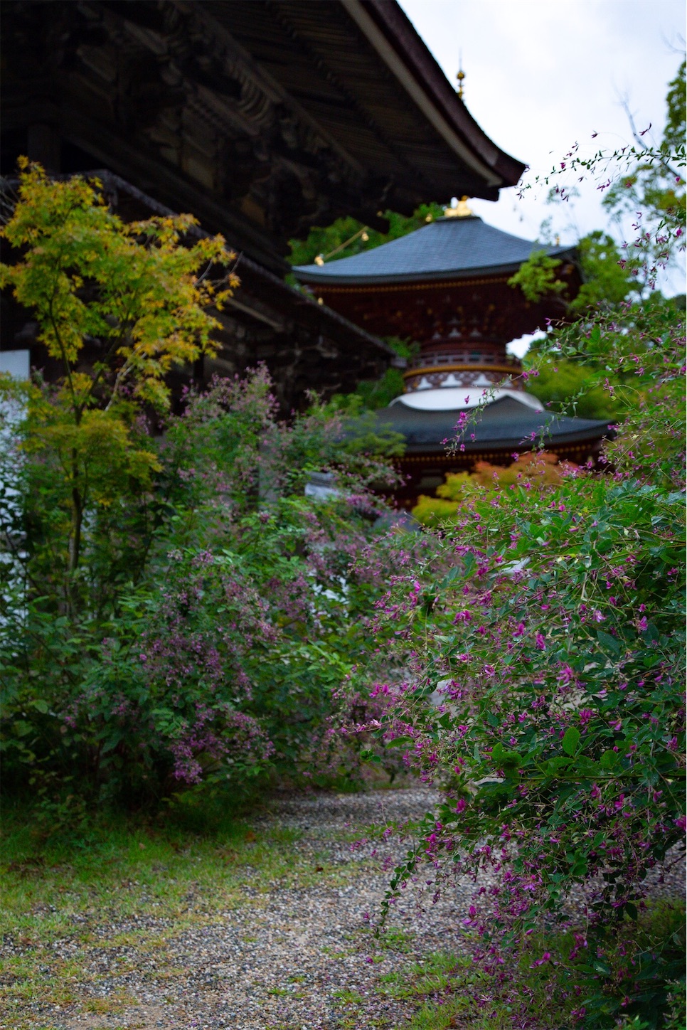 f:id:Shotetsuan:20191114230206j:plain f:id:Shotetsuan:20191114230206j:plain