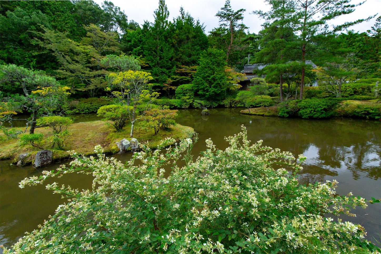 f:id:Shotetsuan:20191114230231j:plain f:id:Shotetsuan:20191114230231j:plain