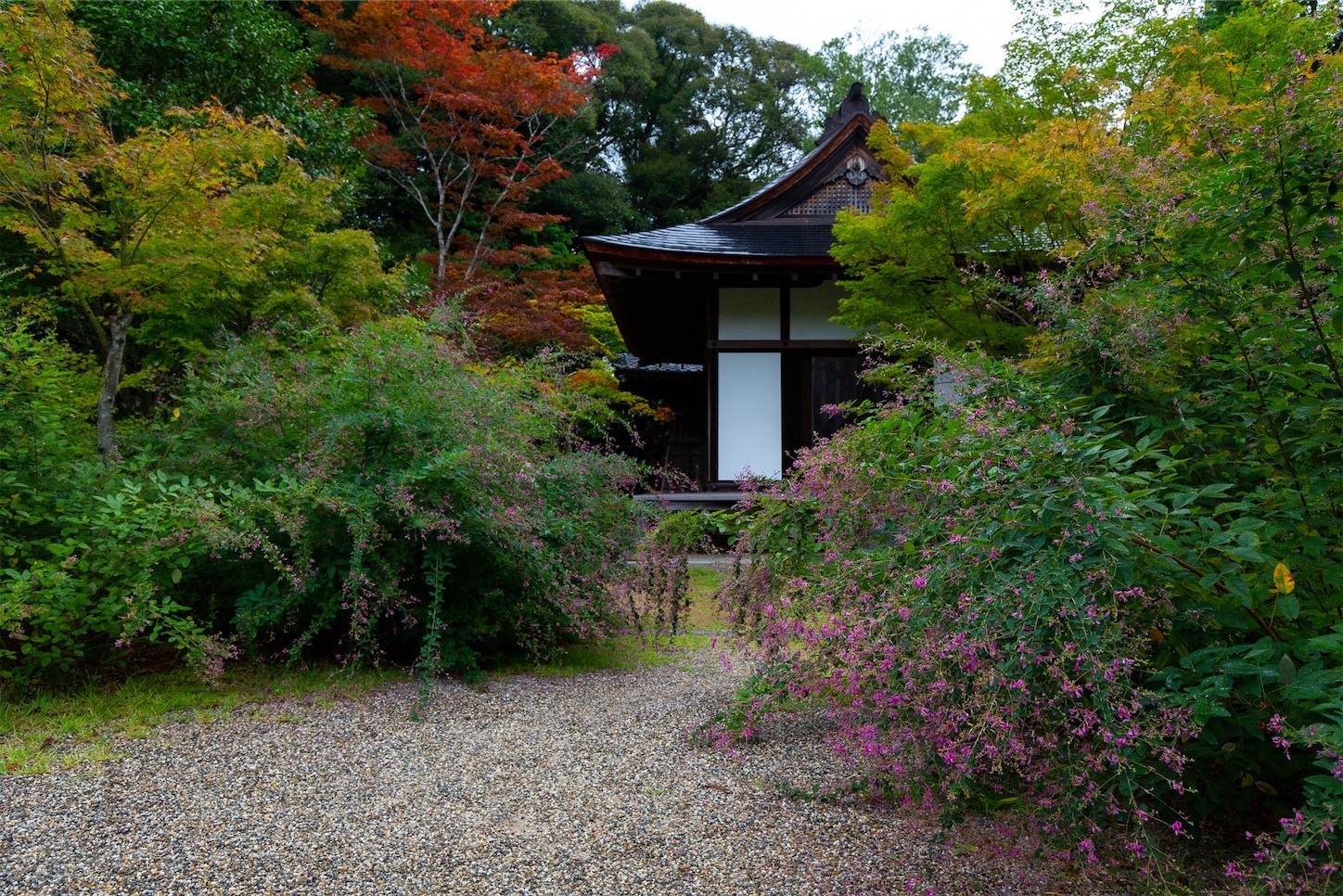 f:id:Shotetsuan:20191114230316j:plain f:id:Shotetsuan:20191114230316j:plain