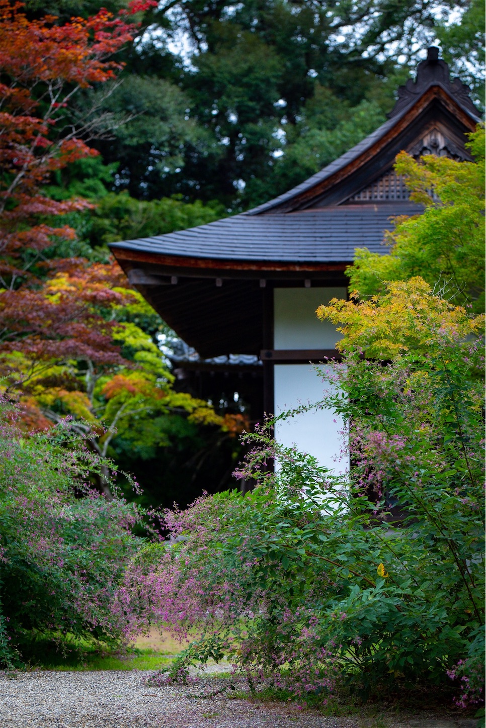 f:id:Shotetsuan:20191114230338j:plain f:id:Shotetsuan:20191114230338j:plain