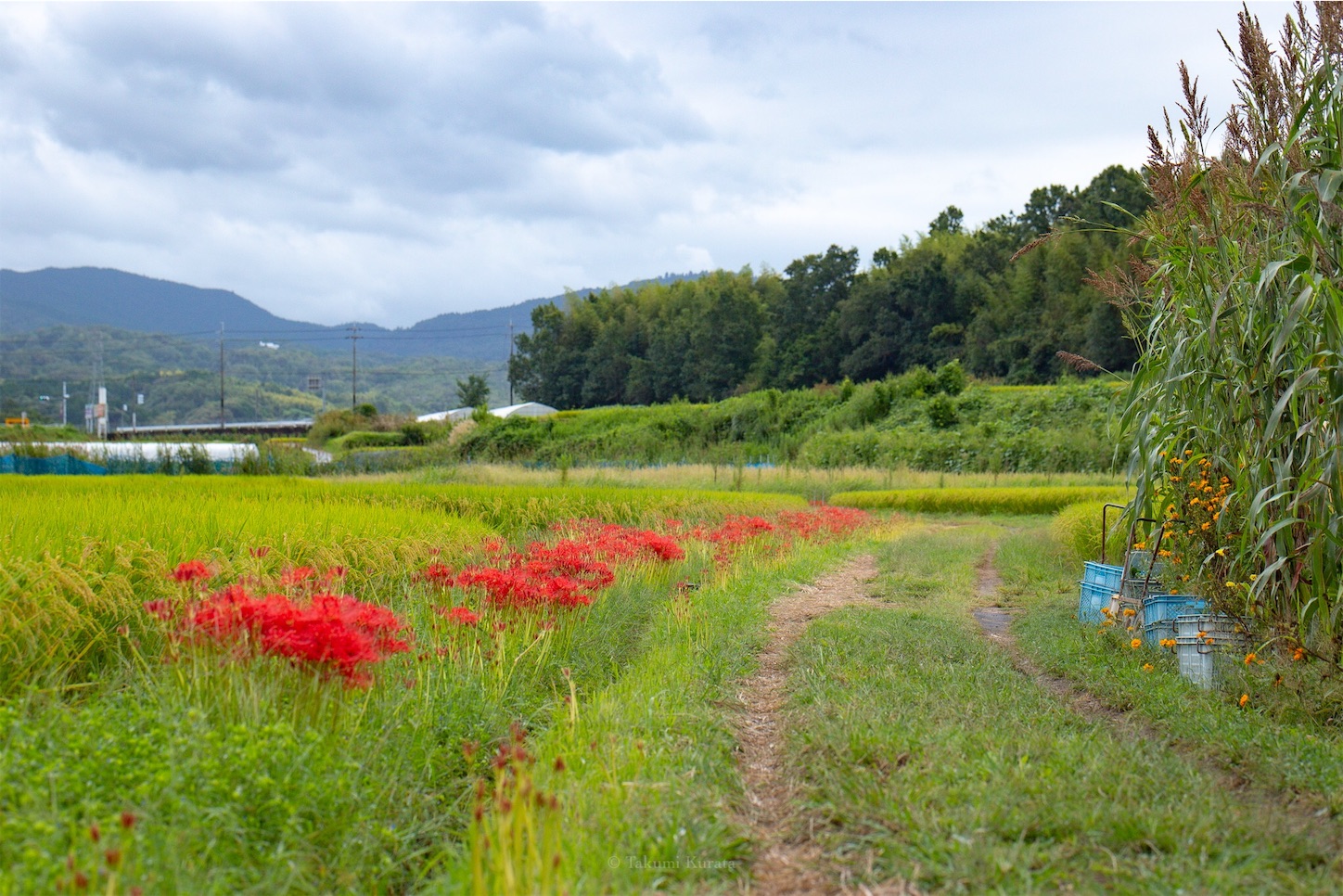 f:id:Shotetsuan:20191115073951j:plain f:id:Shotetsuan:20191115073951j:plain