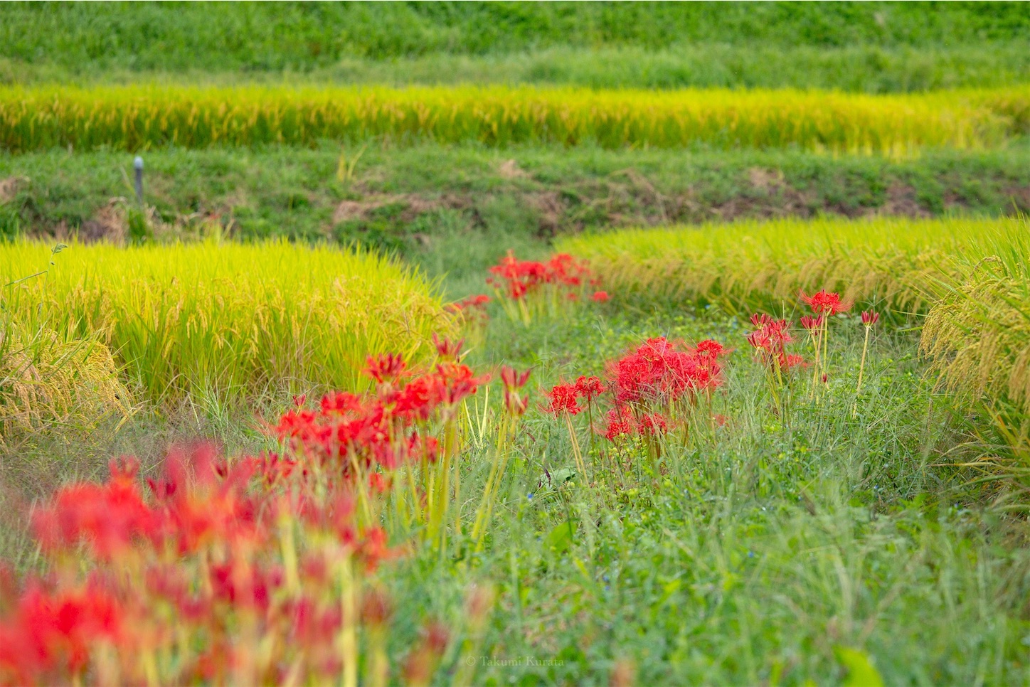 f:id:Shotetsuan:20191115074008j:plain f:id:Shotetsuan:20191115074008j:plain