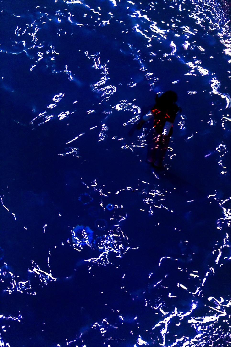 f:id:Shotetsuan:20191117194024j:plain f:id:Shotetsuan:20191117194024j:plain