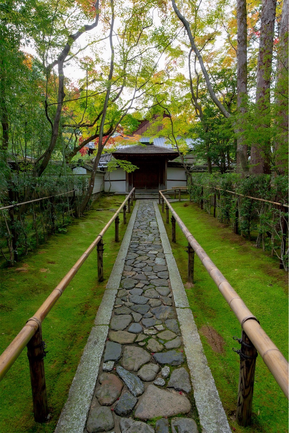 f:id:Shotetsuan:20191117201650j:plain f:id:Shotetsuan:20191117201650j:plain
