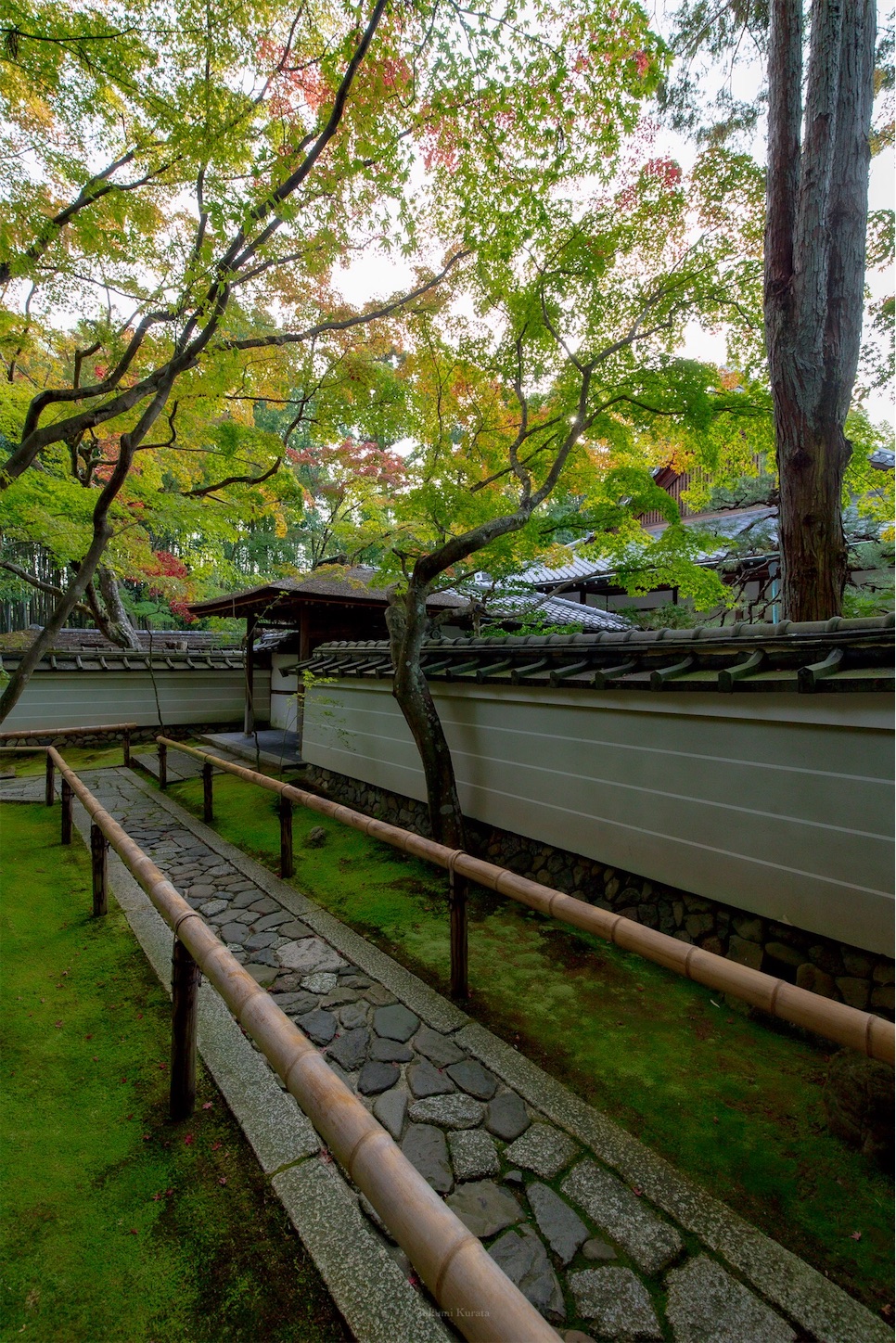 f:id:Shotetsuan:20191117201654j:plain f:id:Shotetsuan:20191117201654j:plain