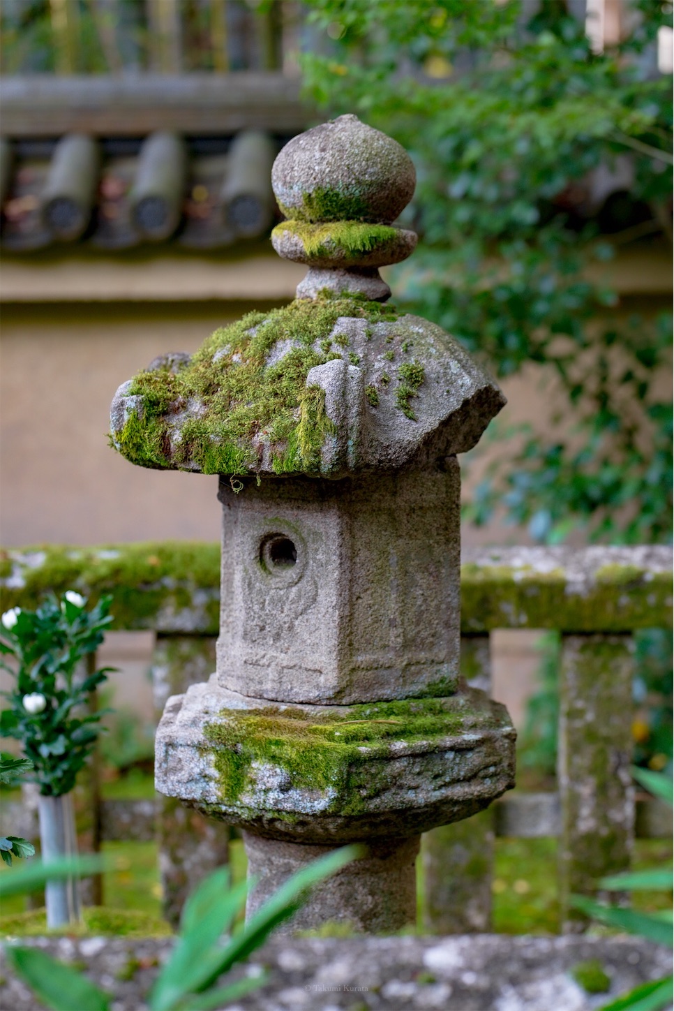 f:id:Shotetsuan:20191117201710j:plain f:id:Shotetsuan:20191117201710j:plain