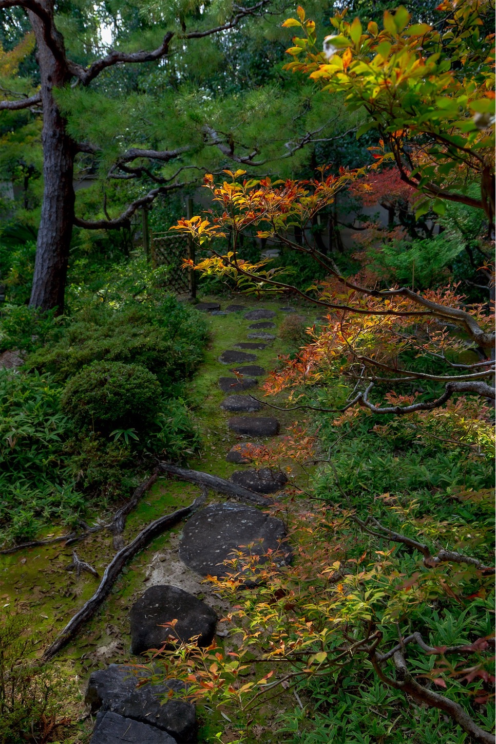f:id:Shotetsuan:20191117201715j:plain f:id:Shotetsuan:20191117201715j:plain