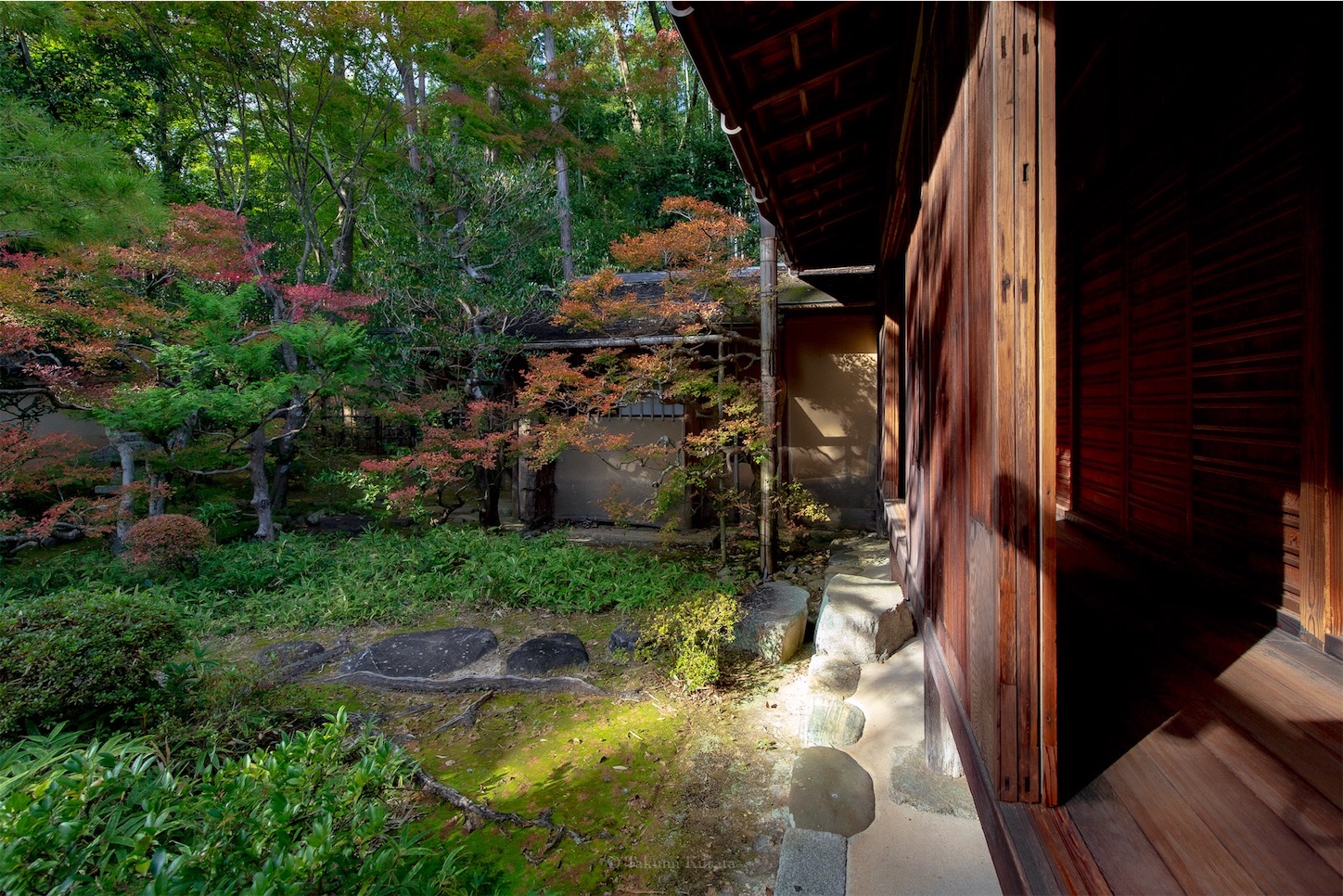 f:id:Shotetsuan:20191117201728j:plain f:id:Shotetsuan:20191117201728j:plain