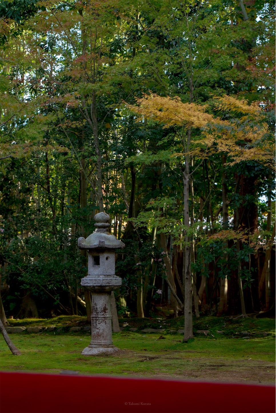 f:id:Shotetsuan:20191117201733j:plain f:id:Shotetsuan:20191117201733j:plain