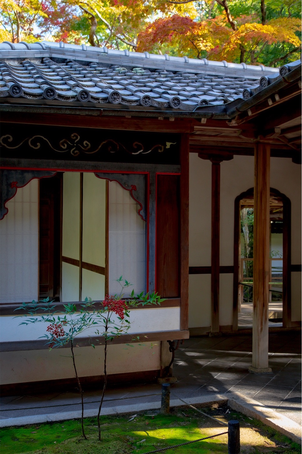 f:id:Shotetsuan:20191117201742j:plain f:id:Shotetsuan:20191117201742j:plain