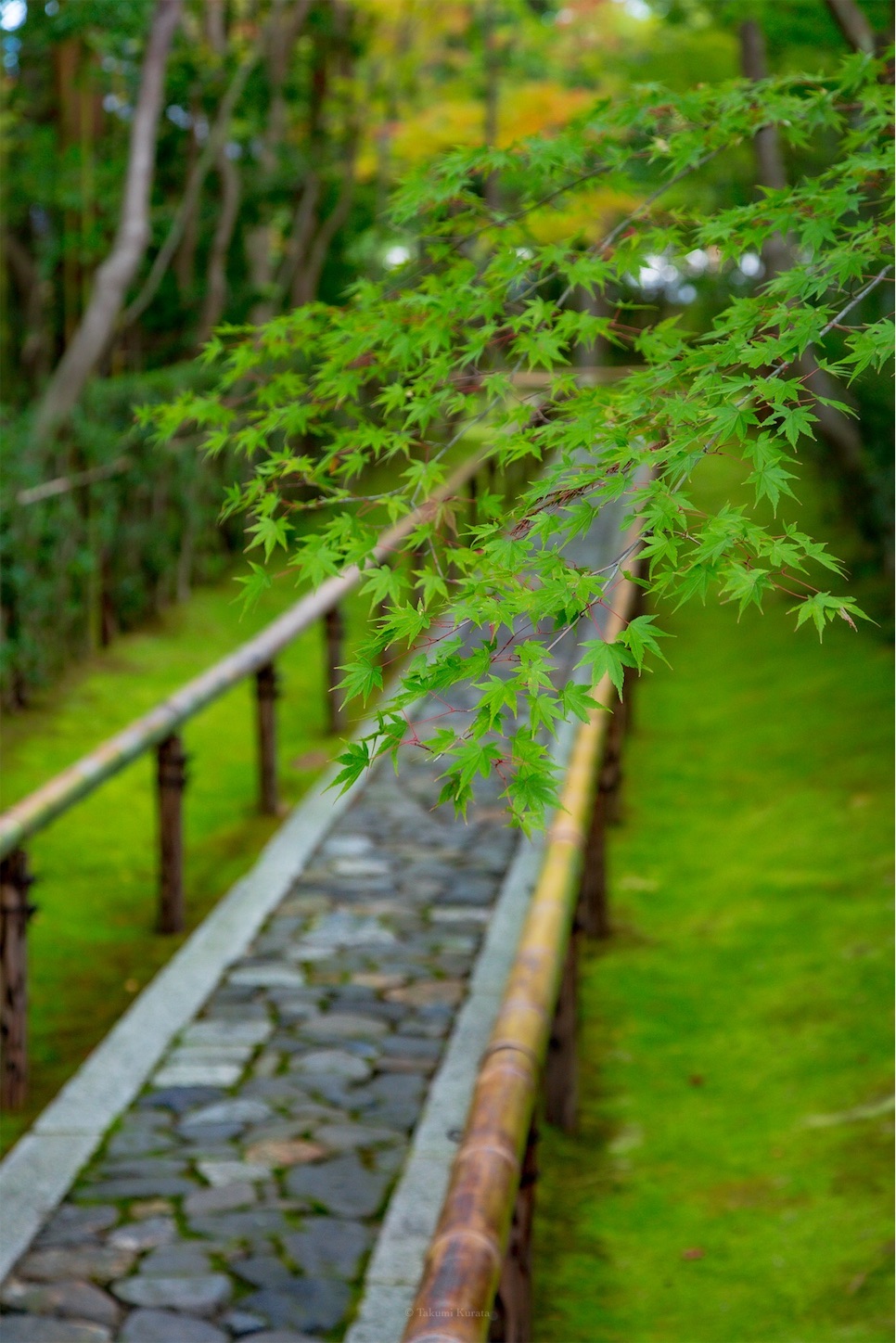f:id:Shotetsuan:20191117201754j:plain f:id:Shotetsuan:20191117201754j:plain