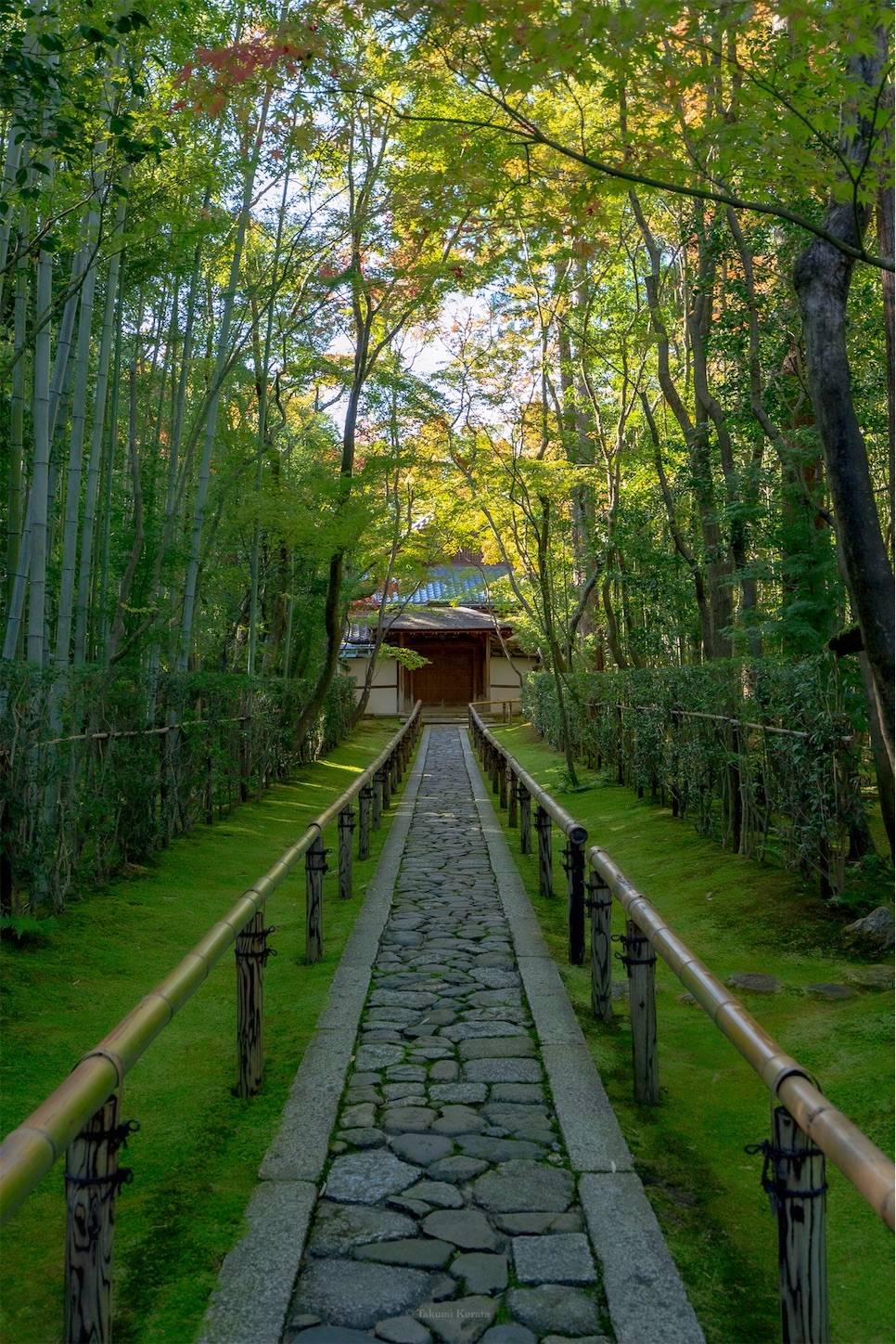 f:id:Shotetsuan:20191117201806j:plain f:id:Shotetsuan:20191117201806j:plain