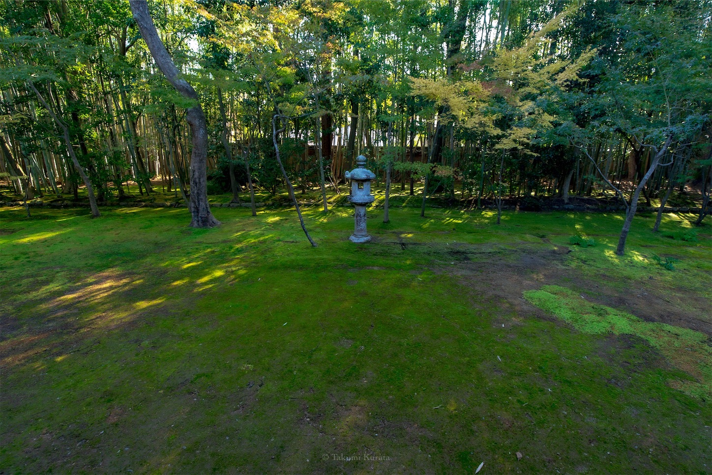f:id:Shotetsuan:20191117201818j:plain f:id:Shotetsuan:20191117201818j:plain