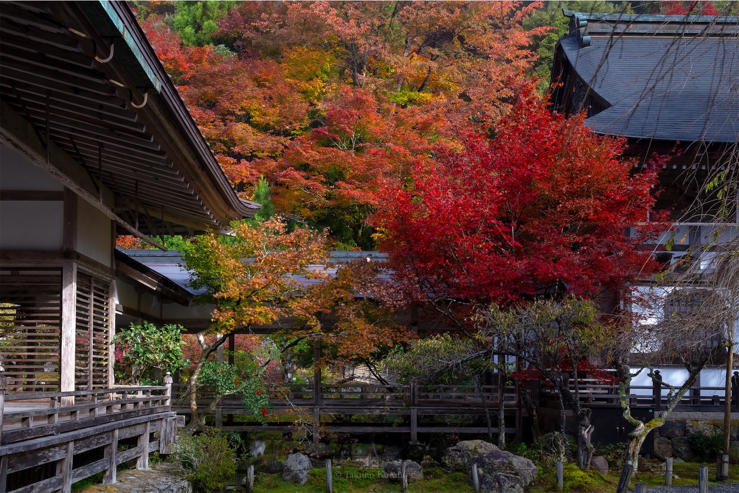 f:id:Shotetsuan:20191210075234j:plain f:id:Shotetsuan:20191210075234j:plain