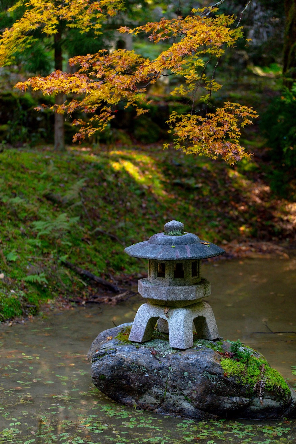 f:id:Shotetsuan:20191210075300j:plain f:id:Shotetsuan:20191210075300j:plain