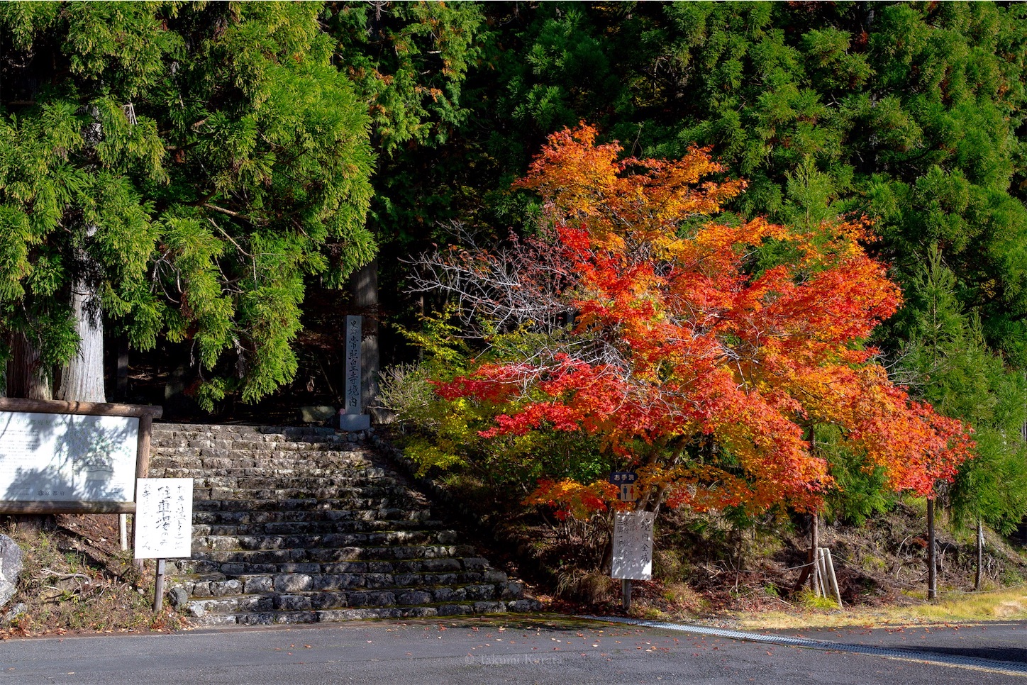 f:id:Shotetsuan:20191210075304j:plain f:id:Shotetsuan:20191210075304j:plain