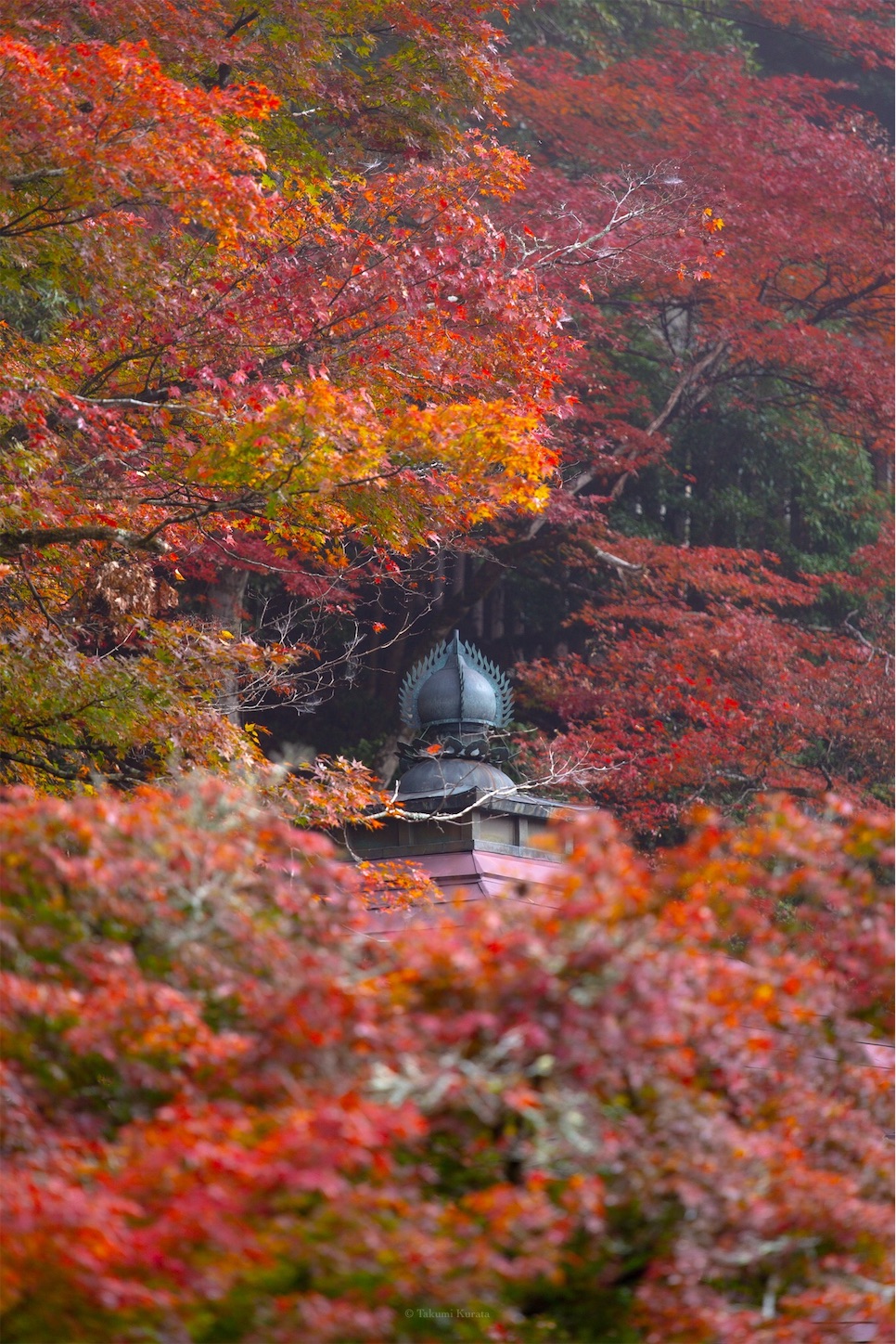 f:id:Shotetsuan:20191210075313j:plain f:id:Shotetsuan:20191210075313j:plain