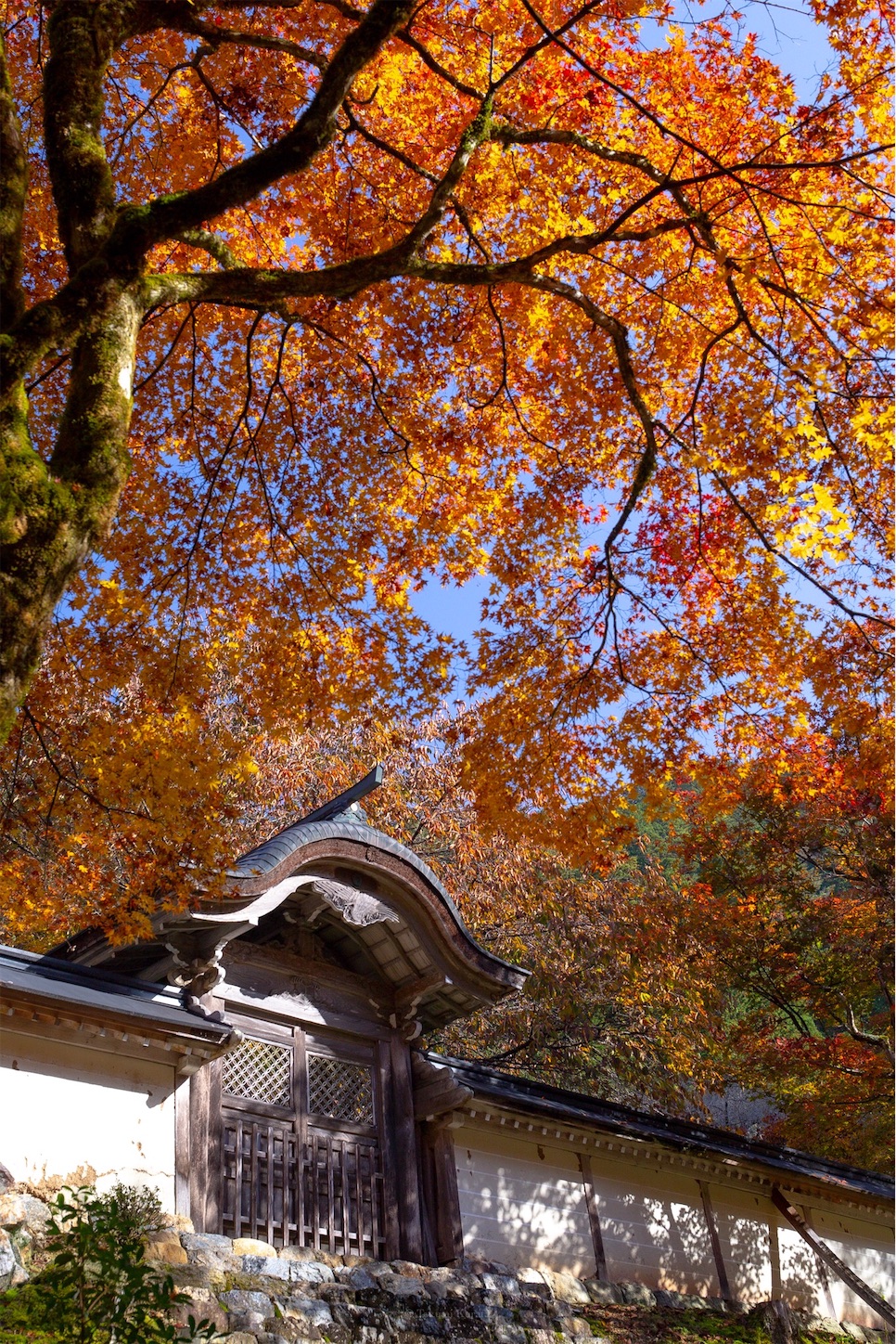 f:id:Shotetsuan:20191210075322j:plain f:id:Shotetsuan:20191210075322j:plain