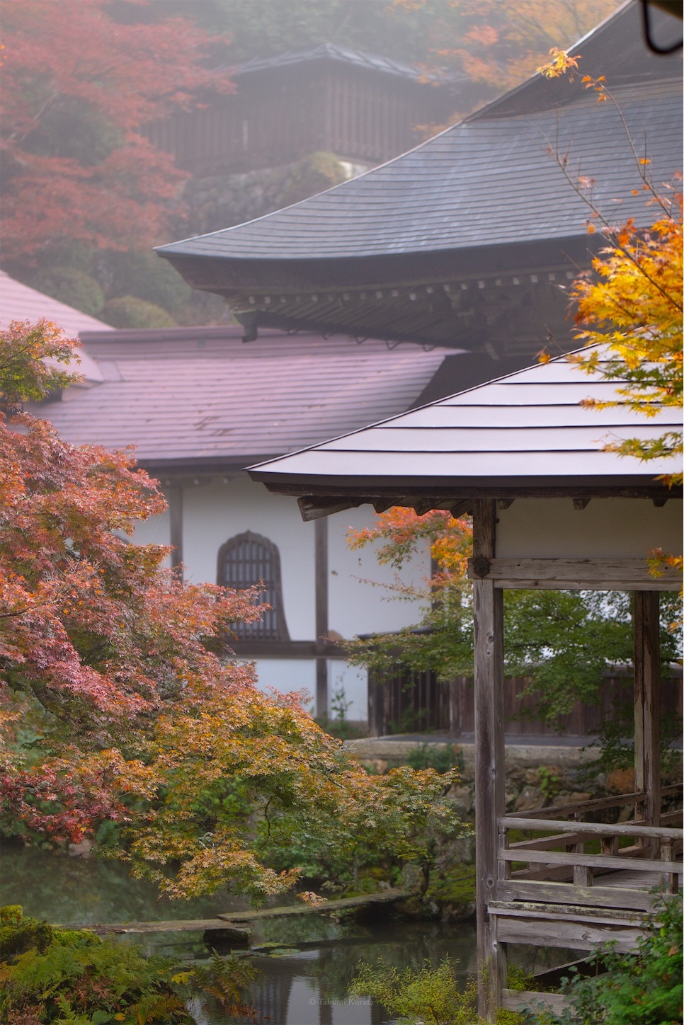 f:id:Shotetsuan:20191210075439j:plain f:id:Shotetsuan:20191210075439j:plain