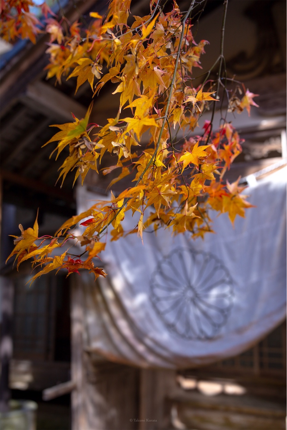 f:id:Shotetsuan:20191210075444j:plain f:id:Shotetsuan:20191210075444j:plain