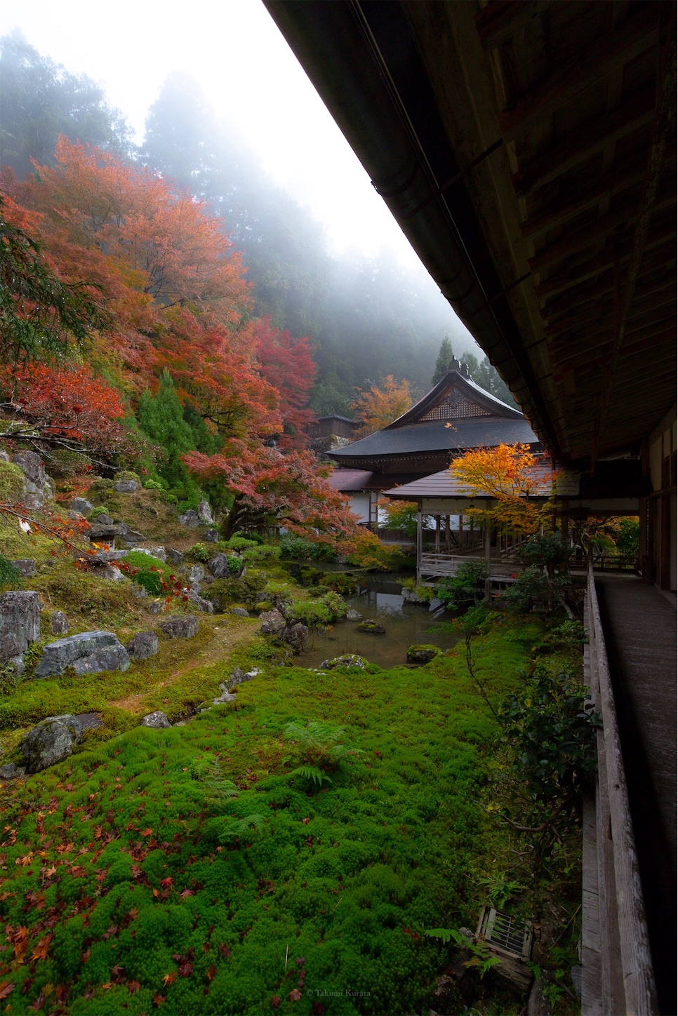 f:id:Shotetsuan:20191210075510j:plain f:id:Shotetsuan:20191210075510j:plain