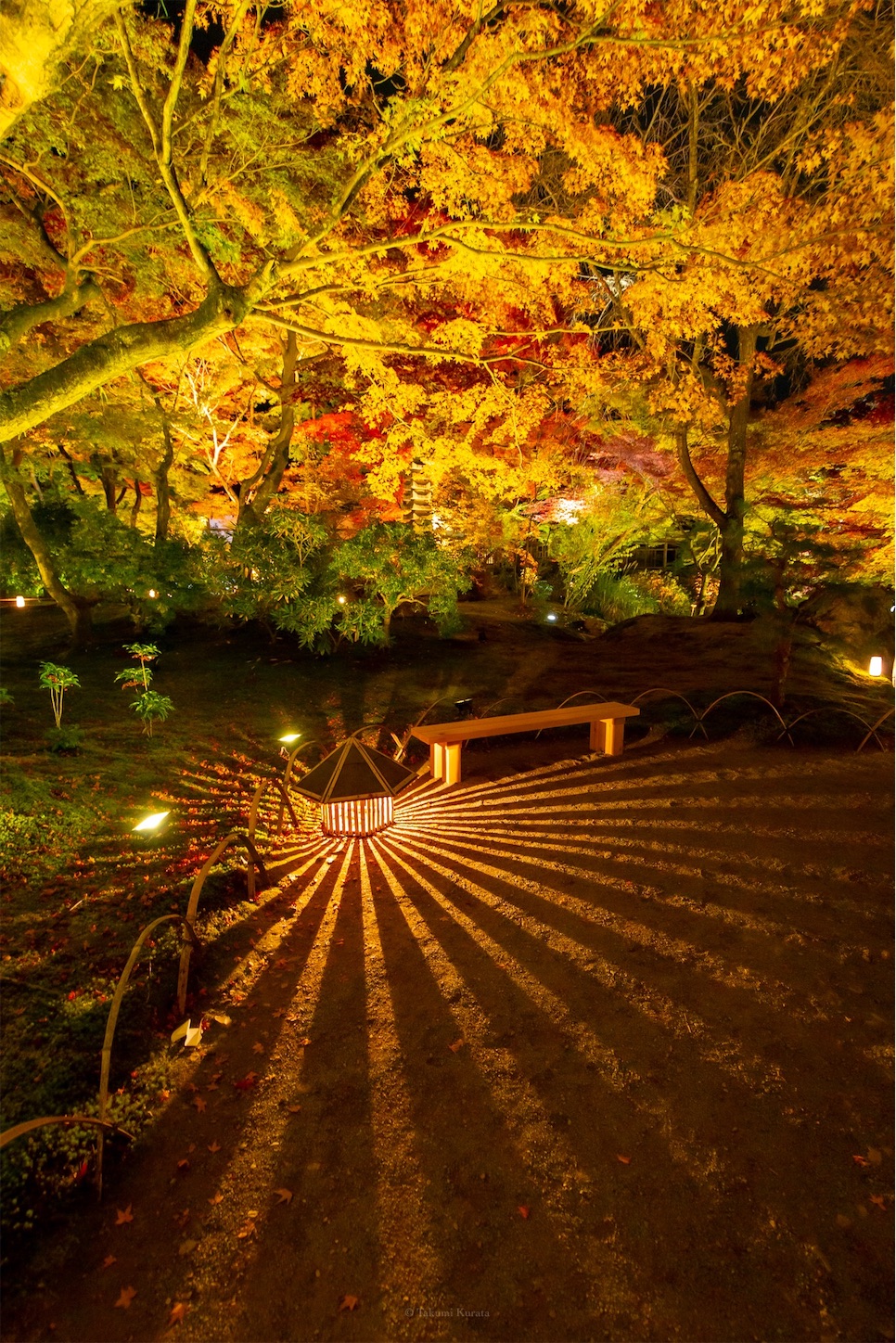 f:id:Shotetsuan:20191210081536j:plain f:id:Shotetsuan:20191210081536j:plain