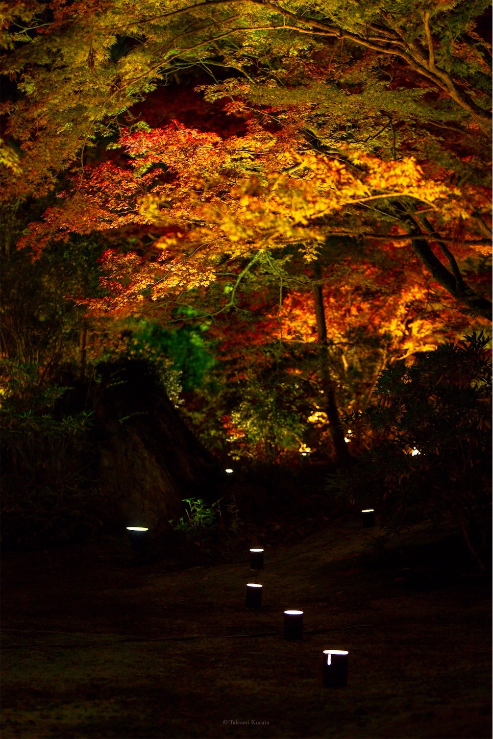 f:id:Shotetsuan:20191210081621j:plain f:id:Shotetsuan:20191210081621j:plain