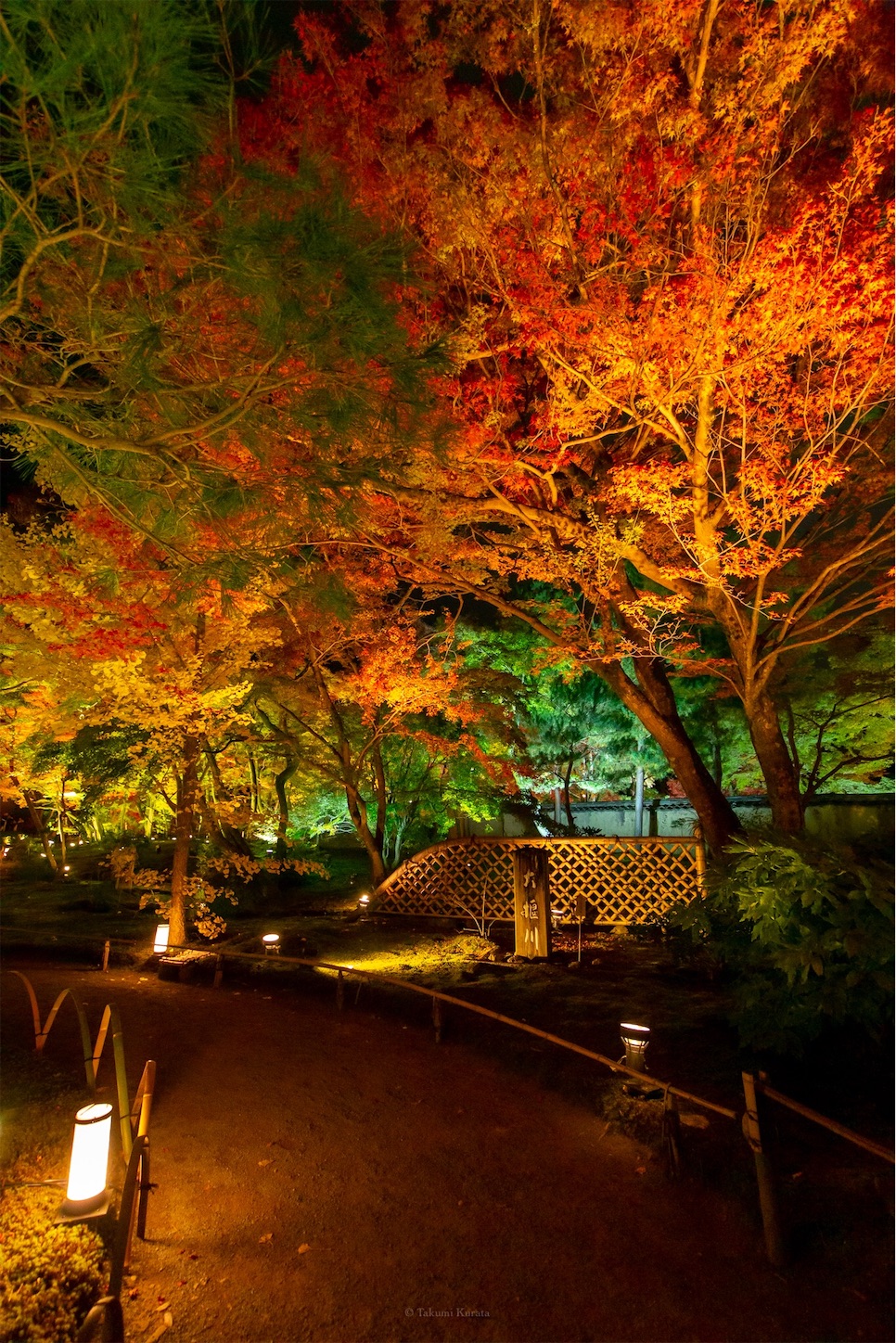 f:id:Shotetsuan:20191210081630j:plain f:id:Shotetsuan:20191210081630j:plain