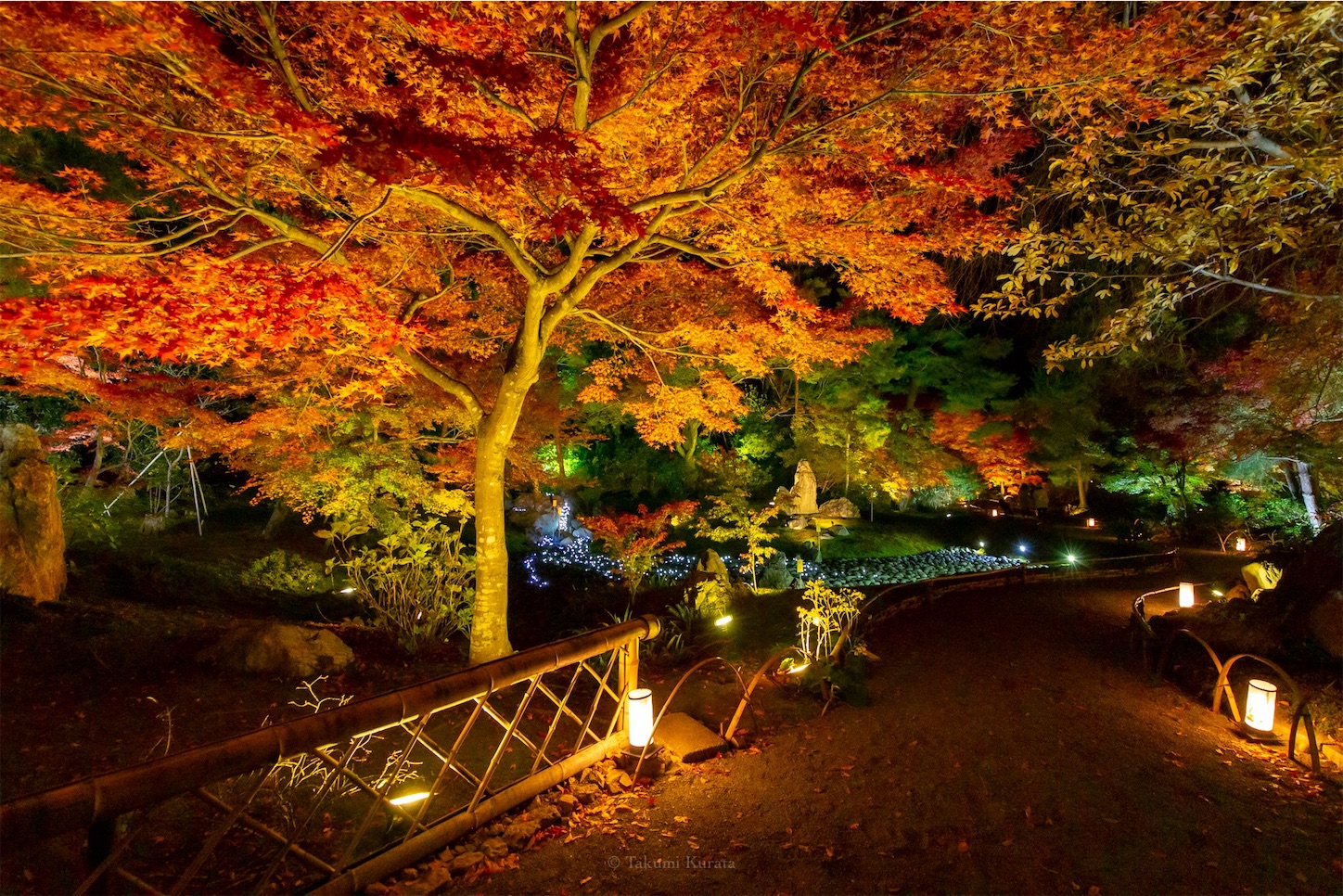 f:id:Shotetsuan:20191210081636j:plain f:id:Shotetsuan:20191210081636j:plain