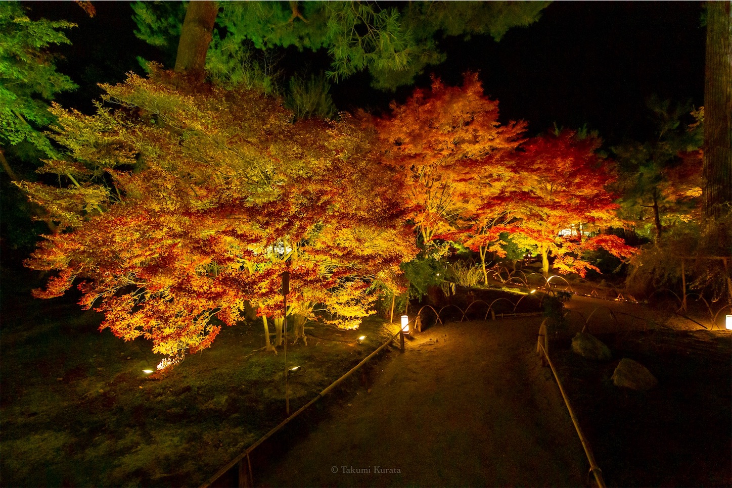 f:id:Shotetsuan:20191210081657j:plain f:id:Shotetsuan:20191210081657j:plain