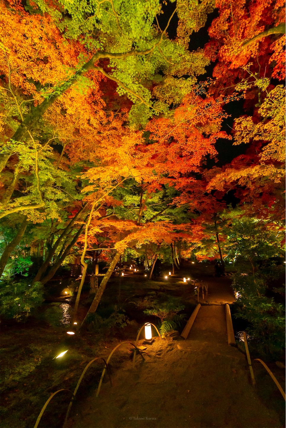 f:id:Shotetsuan:20191210081706j:plain f:id:Shotetsuan:20191210081706j:plain