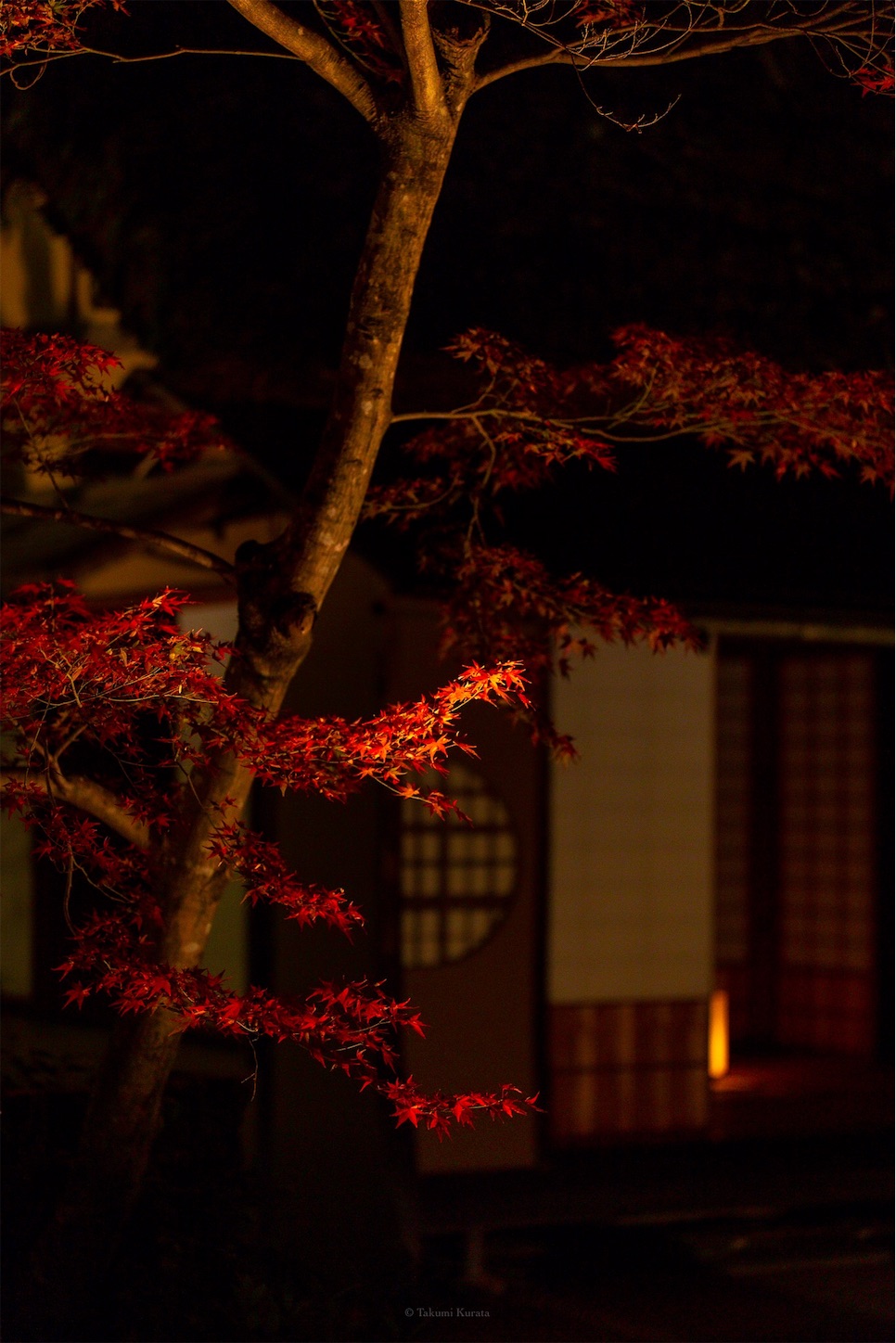 f:id:Shotetsuan:20191210081715j:plain f:id:Shotetsuan:20191210081715j:plain
