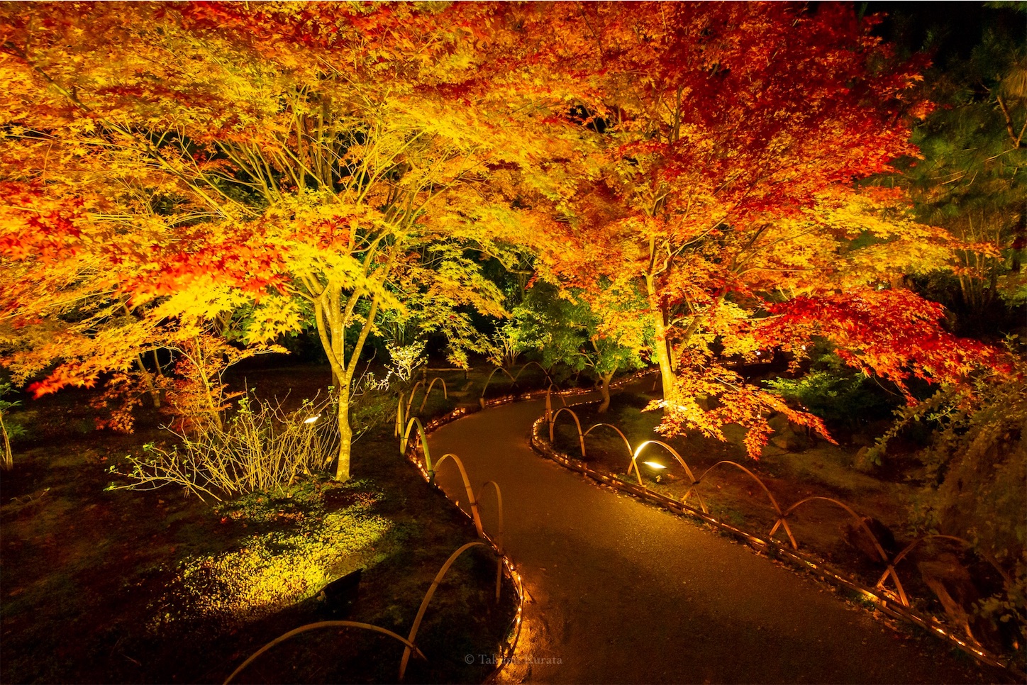f:id:Shotetsuan:20191210081748j:plain f:id:Shotetsuan:20191210081748j:plain