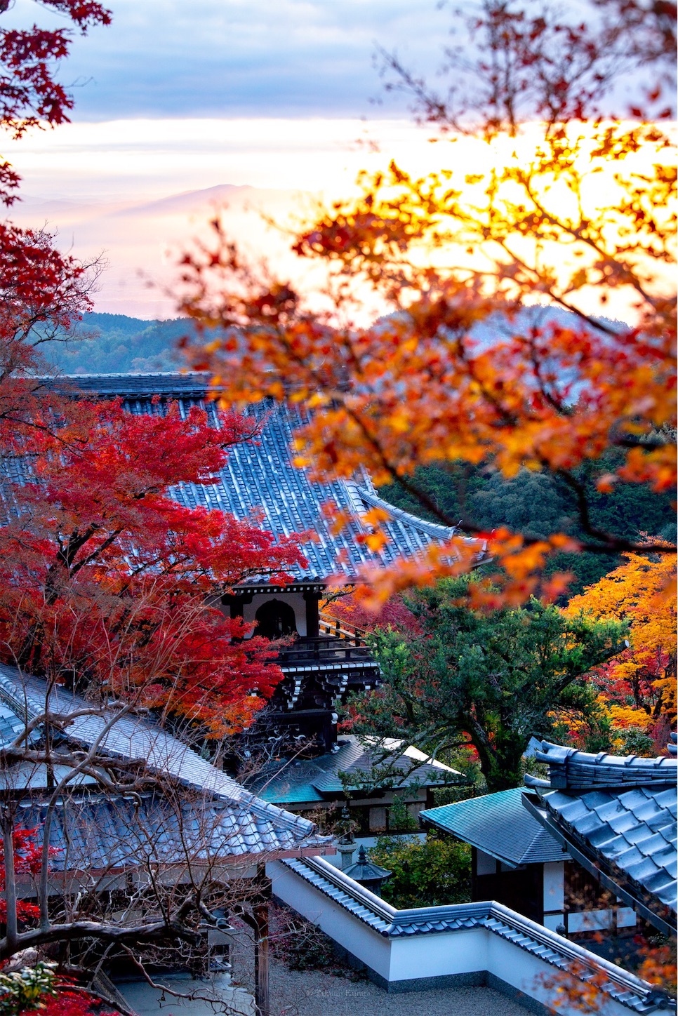 f:id:Shotetsuan:20191210082234j:plain f:id:Shotetsuan:20191210082234j:plain