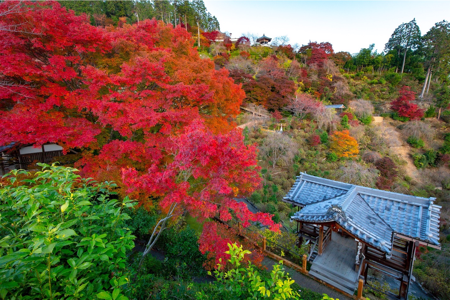 f:id:Shotetsuan:20191210082242j:plain f:id:Shotetsuan:20191210082242j:plain