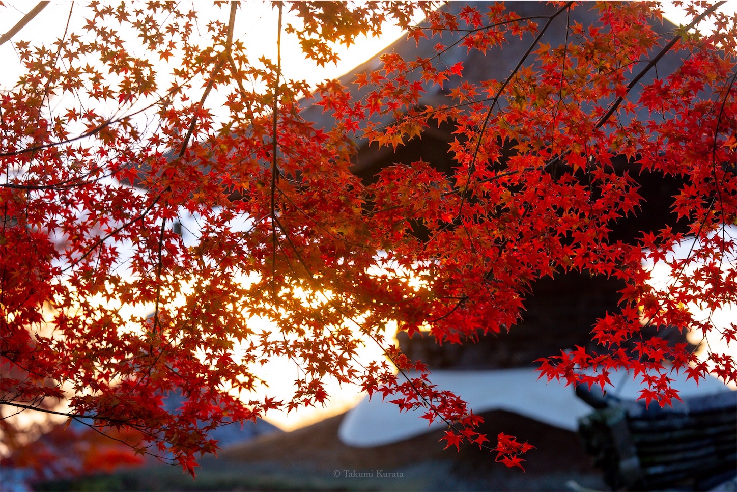 f:id:Shotetsuan:20191210082310j:plain f:id:Shotetsuan:20191210082310j:plain