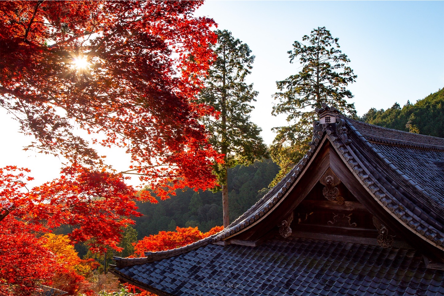 f:id:Shotetsuan:20191210082317j:plain f:id:Shotetsuan:20191210082317j:plain