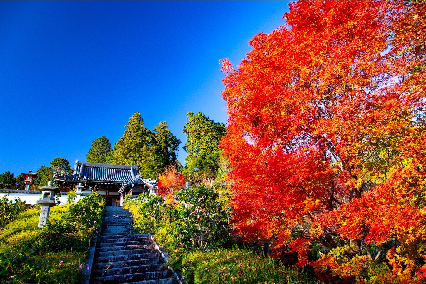 f:id:Shotetsuan:20191210082323j:plain f:id:Shotetsuan:20191210082323j:plain