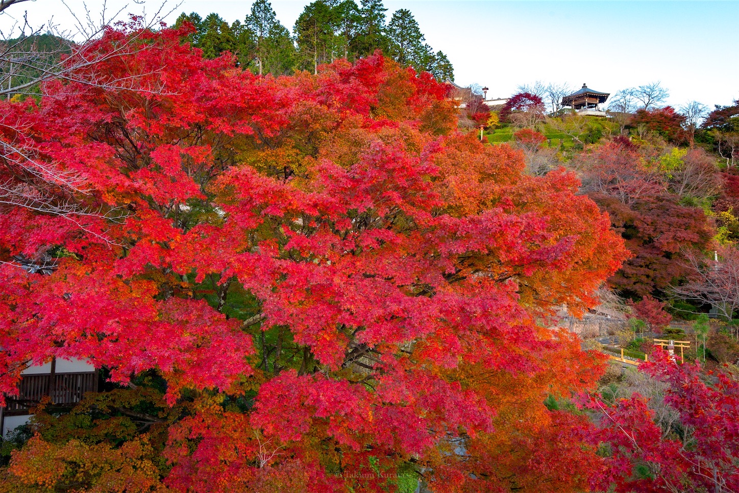 f:id:Shotetsuan:20191210082352j:plain f:id:Shotetsuan:20191210082352j:plain