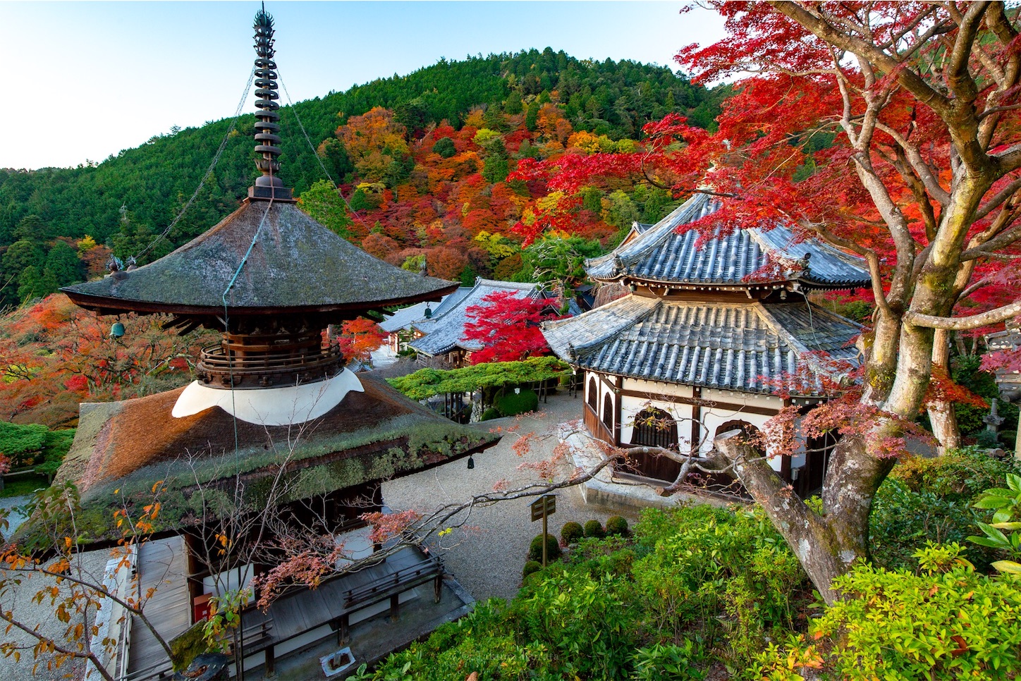 f:id:Shotetsuan:20191210082358j:plain f:id:Shotetsuan:20191210082358j:plain