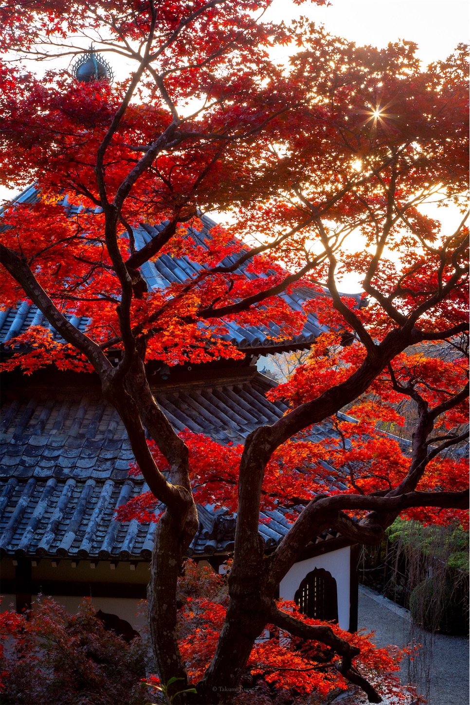 f:id:Shotetsuan:20191210082404j:plain f:id:Shotetsuan:20191210082404j:plain
