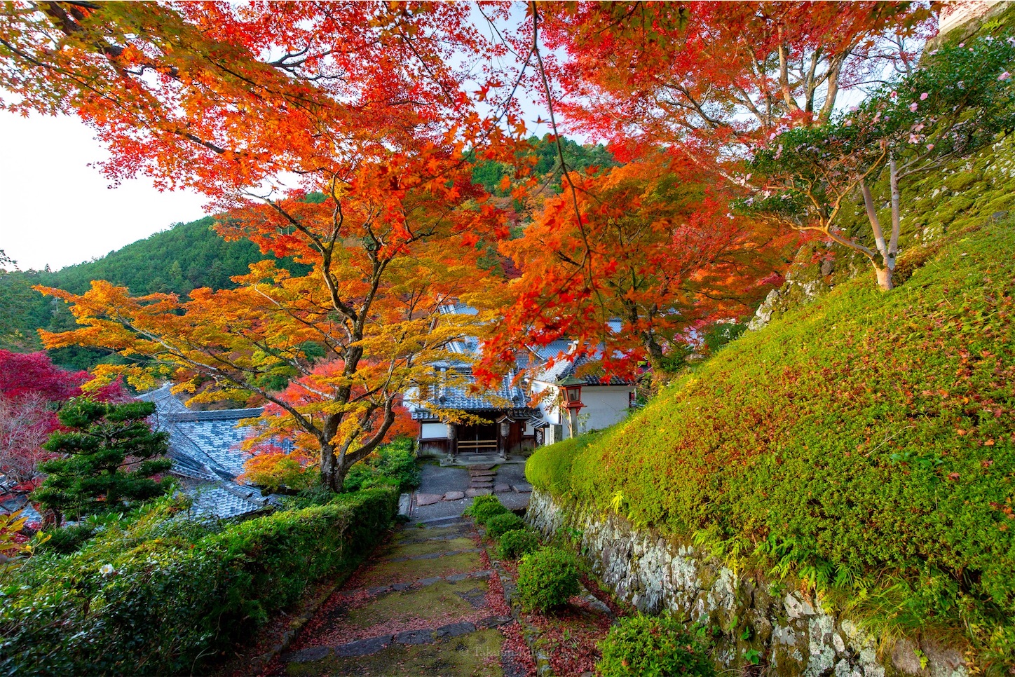 f:id:Shotetsuan:20191210082409j:plain f:id:Shotetsuan:20191210082409j:plain