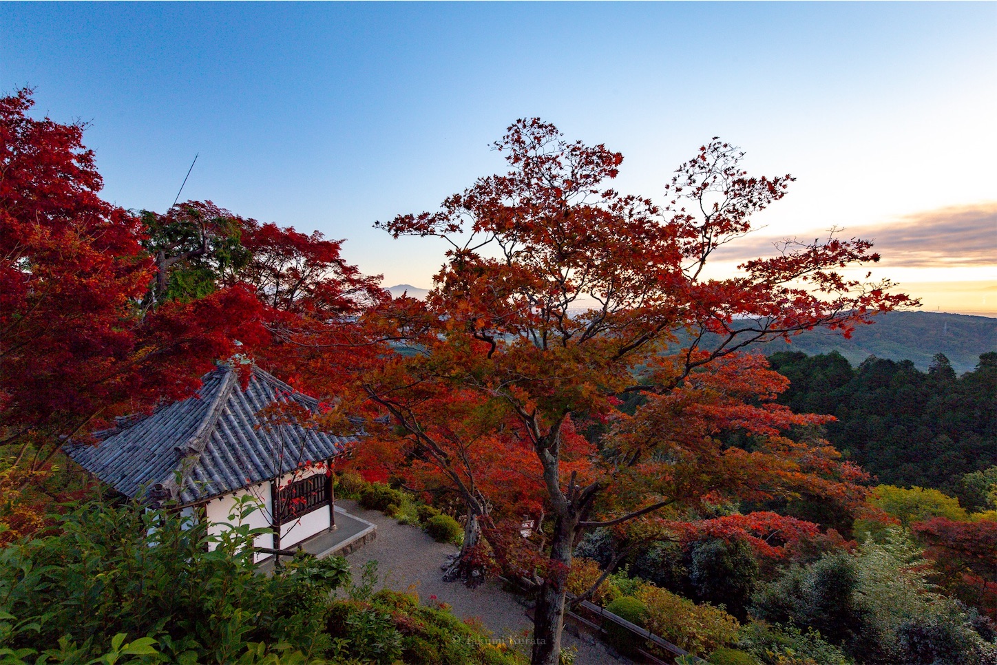 f:id:Shotetsuan:20191210082416j:plain f:id:Shotetsuan:20191210082416j:plain