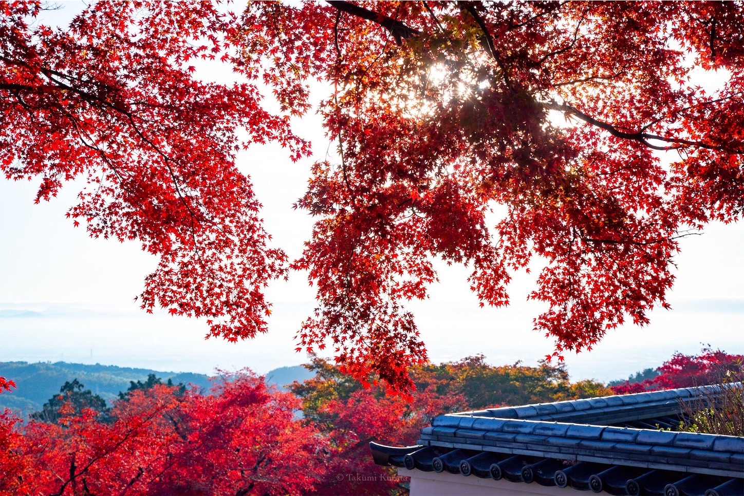 f:id:Shotetsuan:20191210082423j:plain f:id:Shotetsuan:20191210082423j:plain